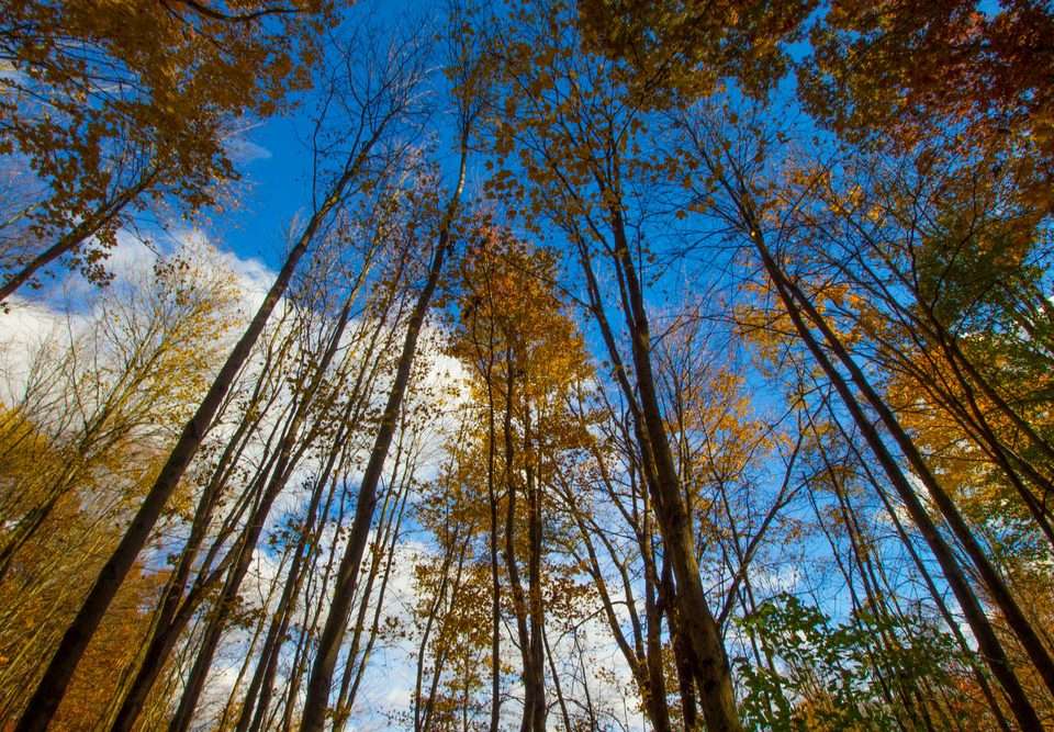 Lewis Center Shale Hollow Park, Ohio